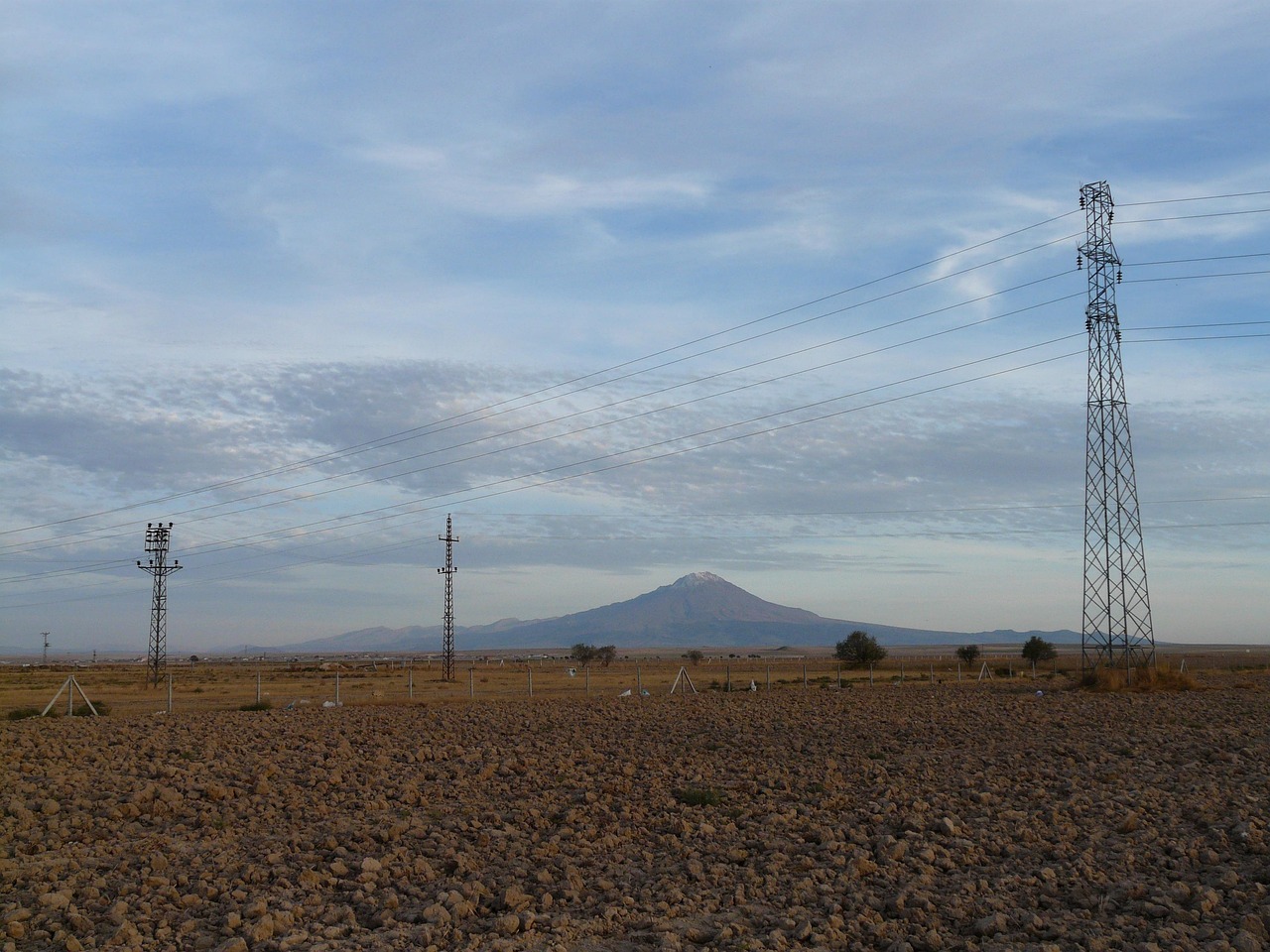 齊晨宇的最新動(dòng)態(tài)與成就概覽