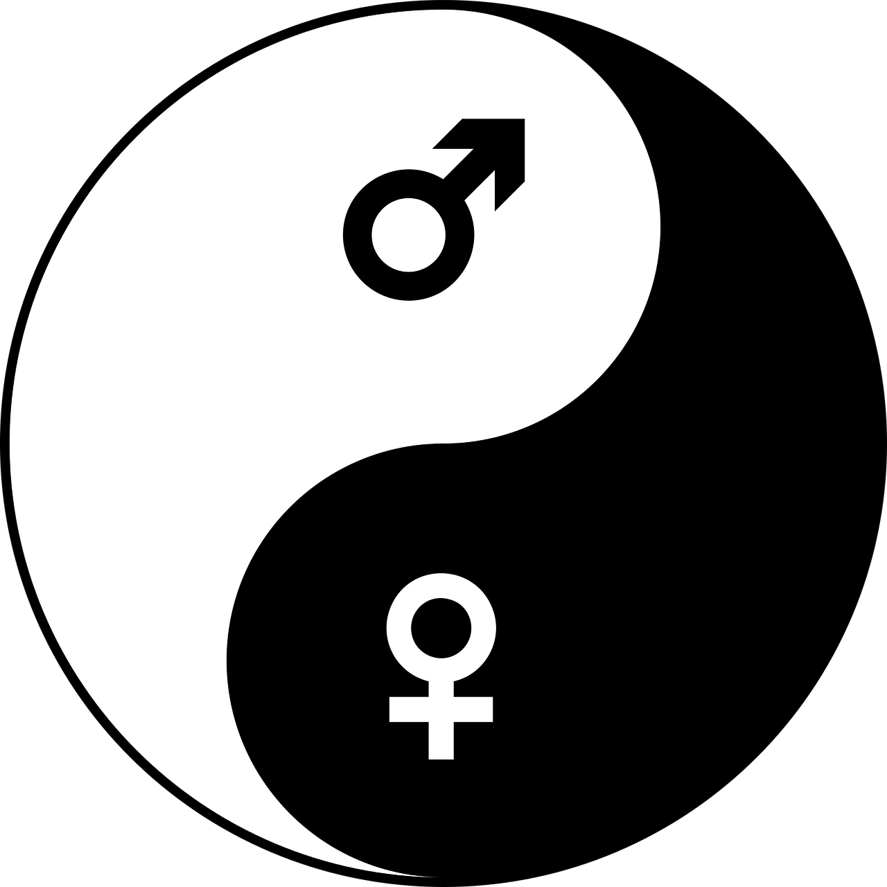 探索性別角色新維度，最新男女轉(zhuǎn)換動畫視頻