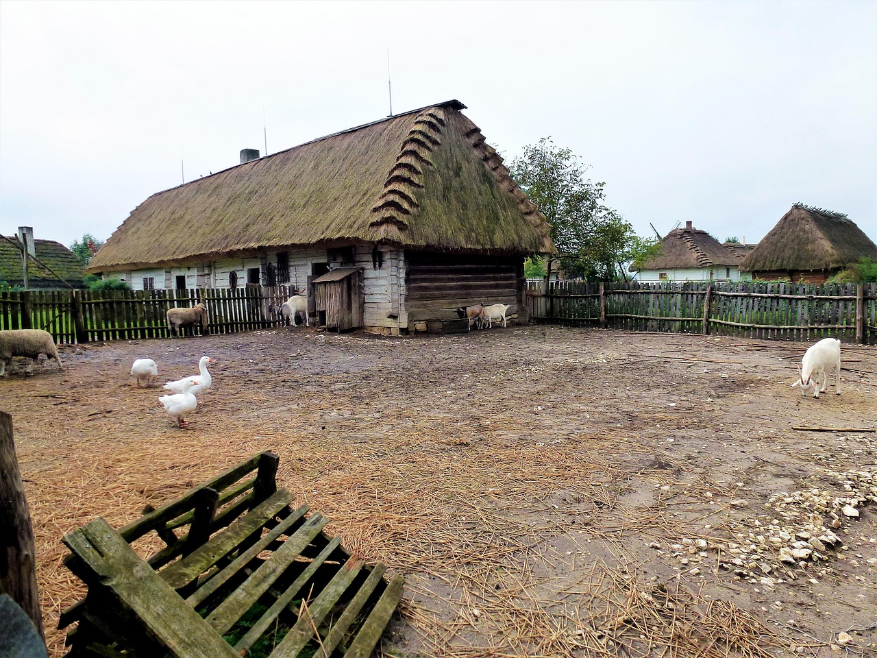 長(zhǎng)治農(nóng)村改造新篇章，進(jìn)展更新與成果展示