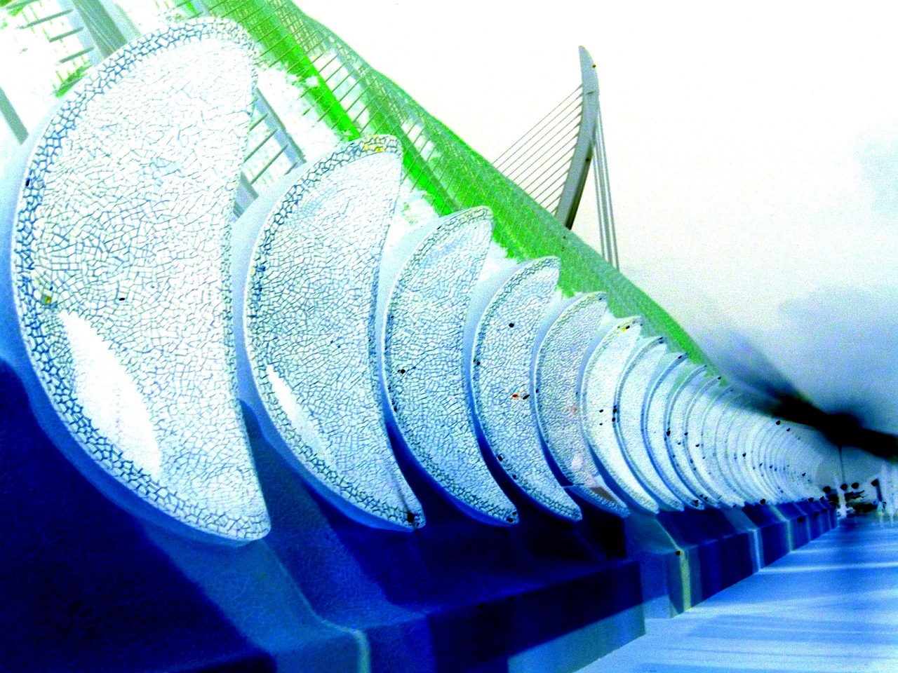 肥鄉(xiāng)萬浩新城最新動態(tài)，城市發(fā)展的脈搏與未來展望