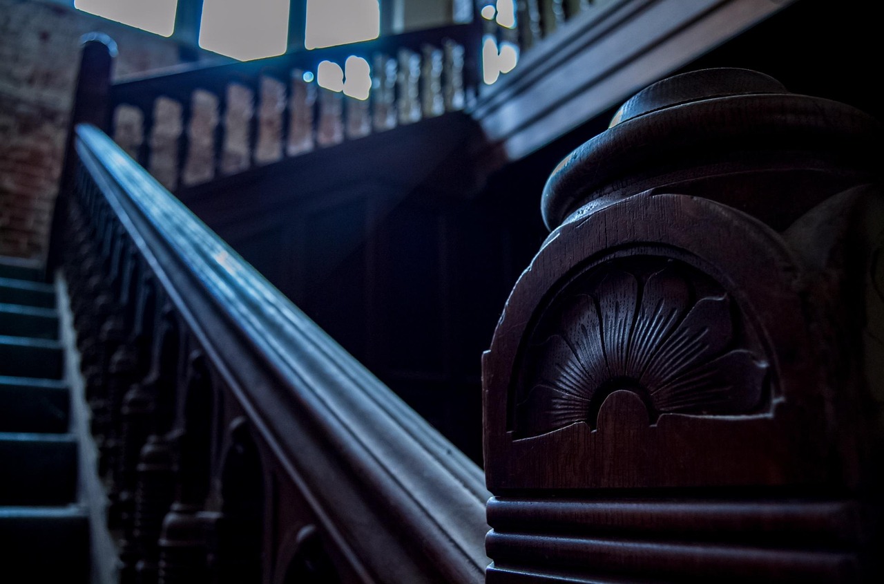 九色藤最新入口,奇幻之旅開啟,探索神秘世界的無限魅力