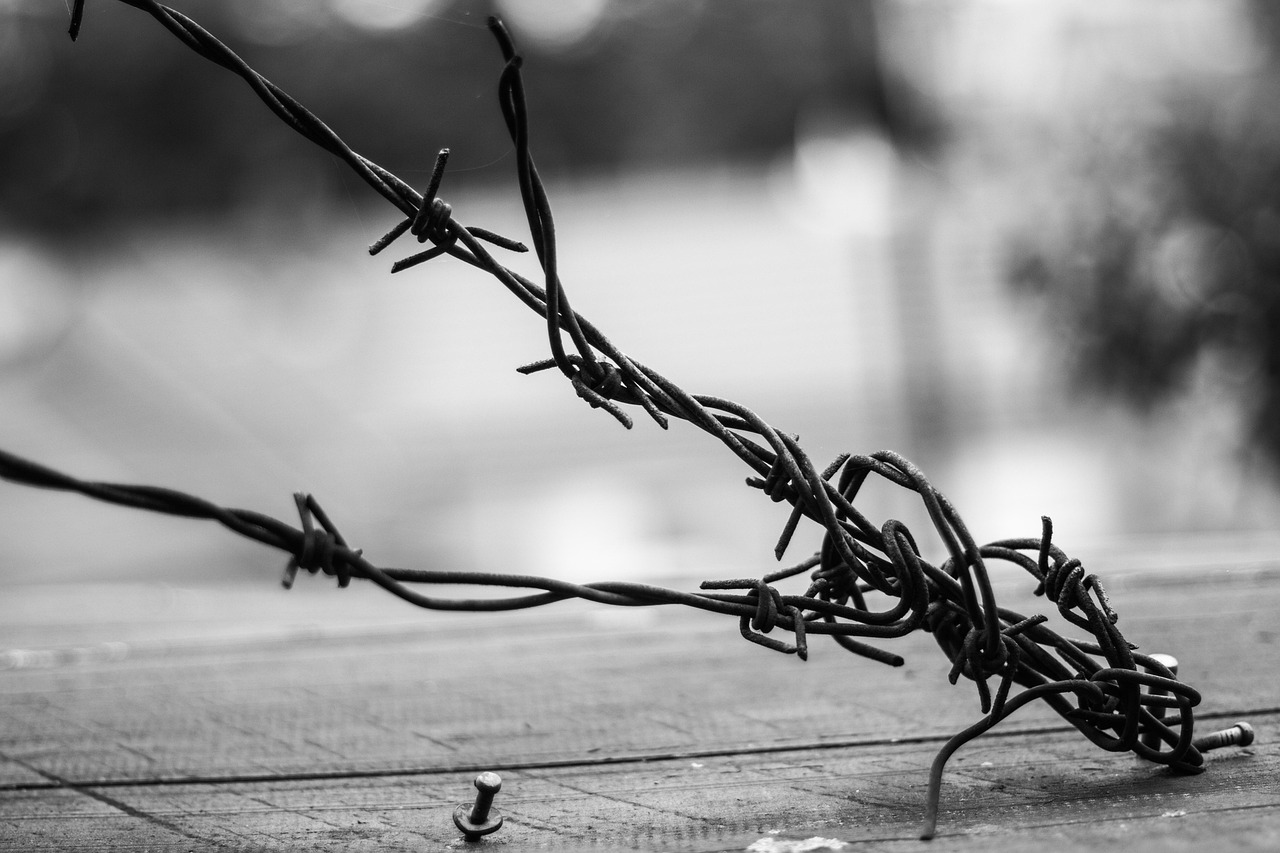 鄒平劃區(qū)最新動態(tài),揭開城市嶄新發(fā)展篇章