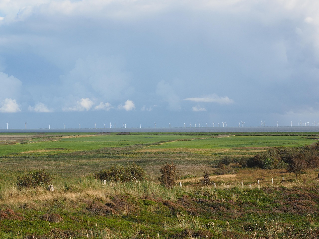 武村風最新動態(tài)揭秘，探索與進步的軌跡