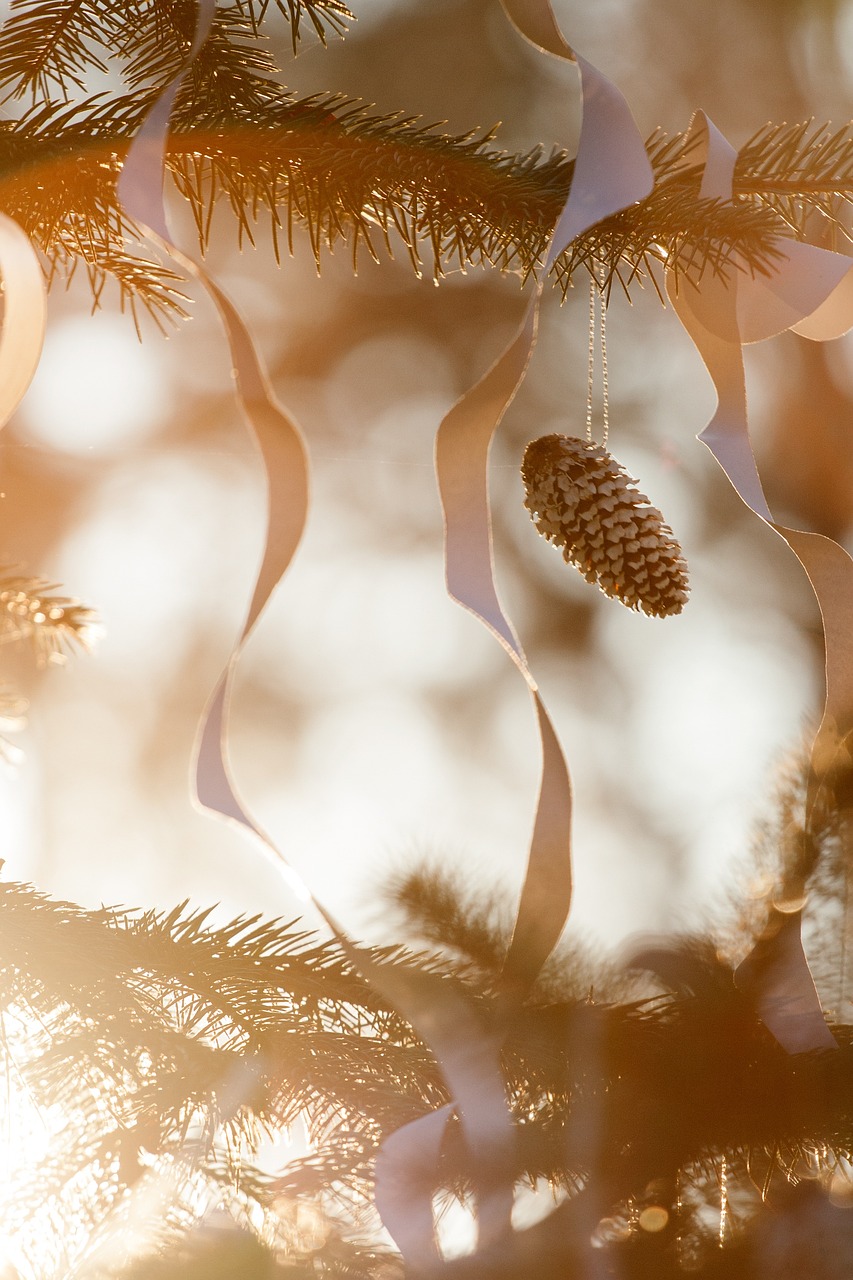 新芝麻上市時(shí)間與季節(jié)輪回揭秘