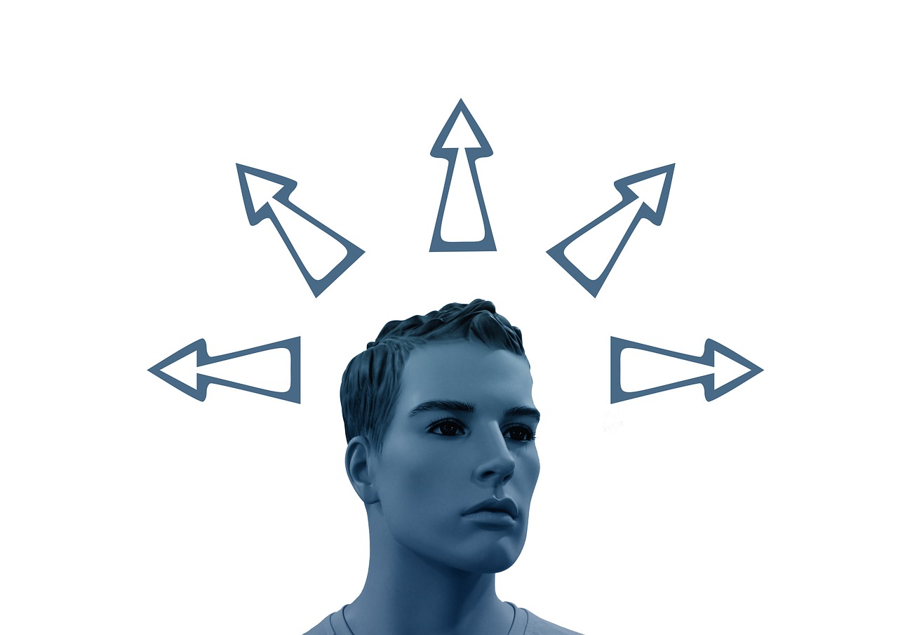 最新貂皮價格動態(tài)解析，市場走勢、影響因素與未來趨勢展望