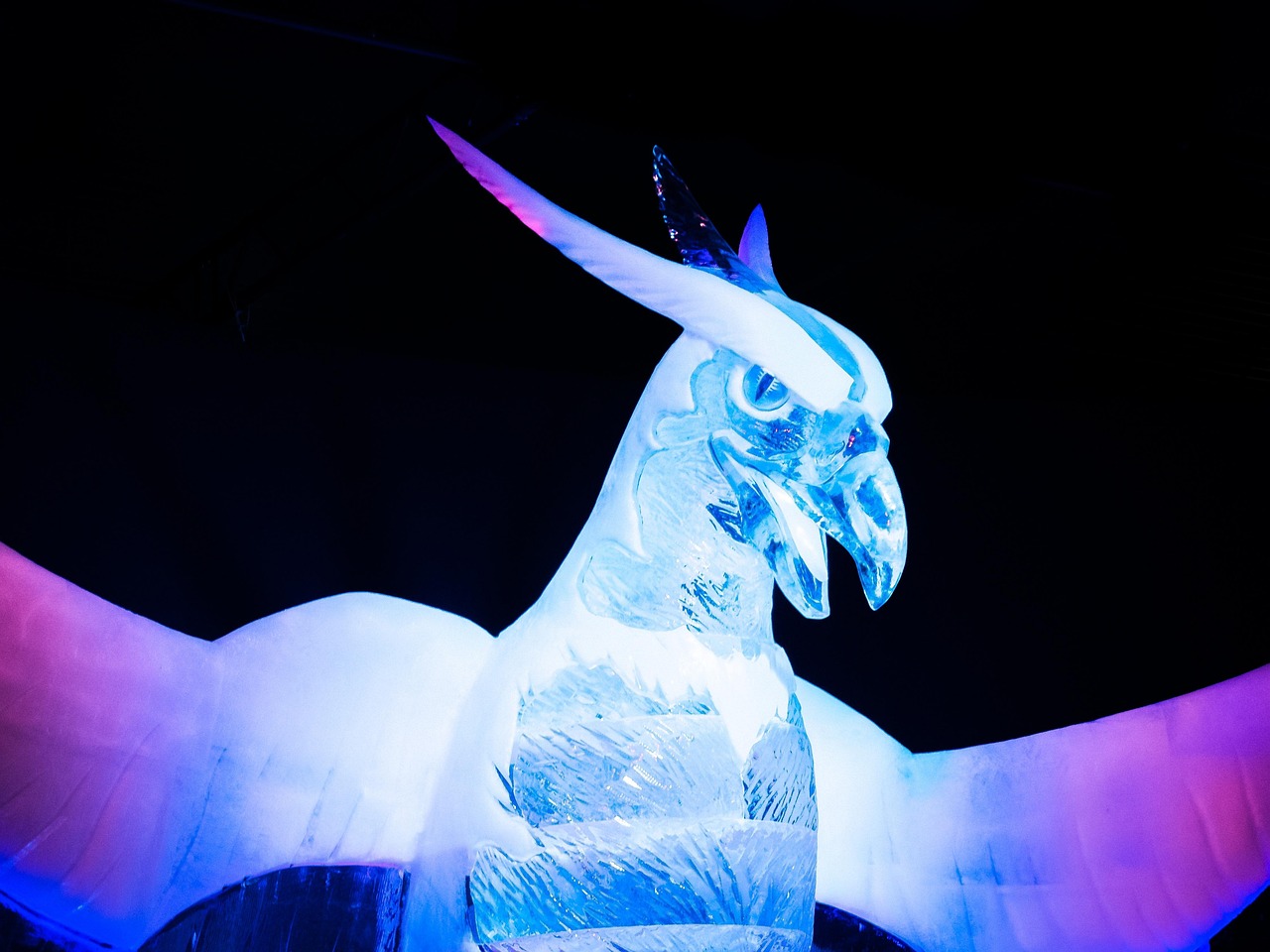 中國女排蓄勢待發(fā)，展現(xiàn)新時代風(fēng)采與實力動態(tài)更新。