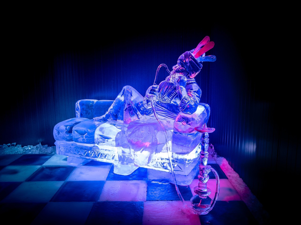 麥嘉最新動(dòng)態(tài),邁向新時(shí)代的步伐與獨(dú)特風(fēng)采展示