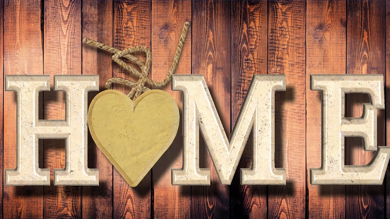 洞悉期貨市場動態(tài)，行情直播引領投資風向標