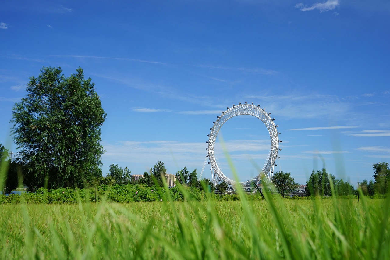 山東最新動(dòng)態(tài)，繁榮與發(fā)展的齊魯大地