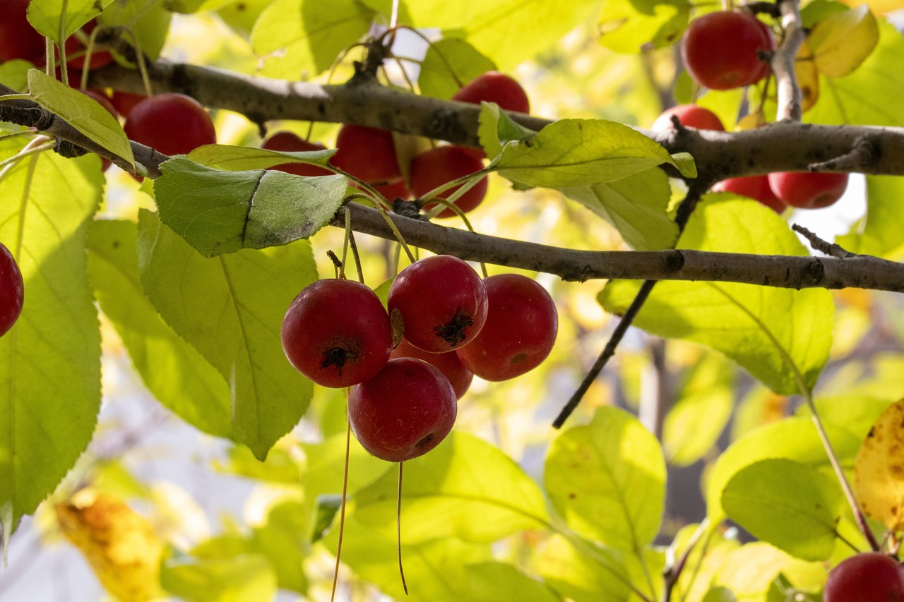 權(quán)謀升遷之道最新資訊動(dòng)態(tài)