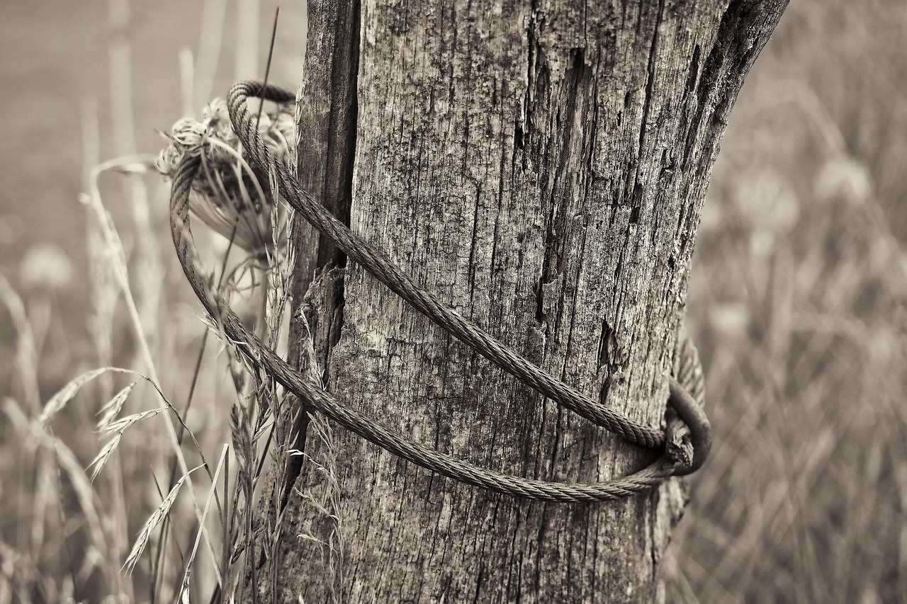 滎陽劃區(qū)最新動態(tài)，城市發(fā)展的嶄新篇章啟動