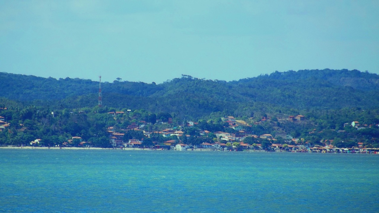 項城新聞強拆動態(tài)，城市更新中的挑戰(zhàn)與應(yīng)對策略