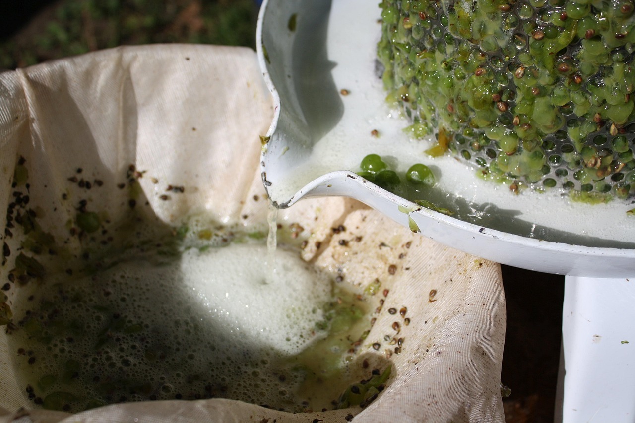 川菜大賽，技藝與激情的盛宴