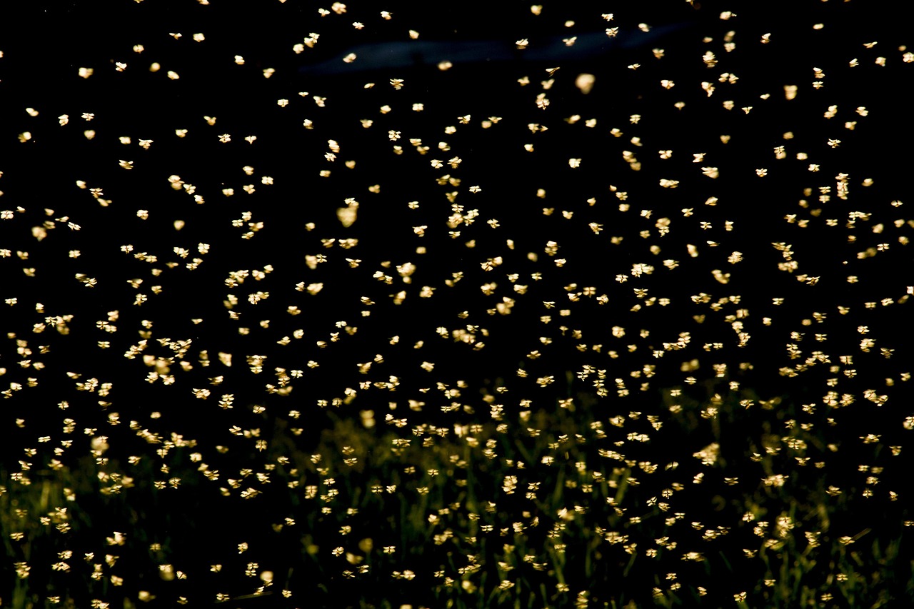 陽光不暖人心 第20頁