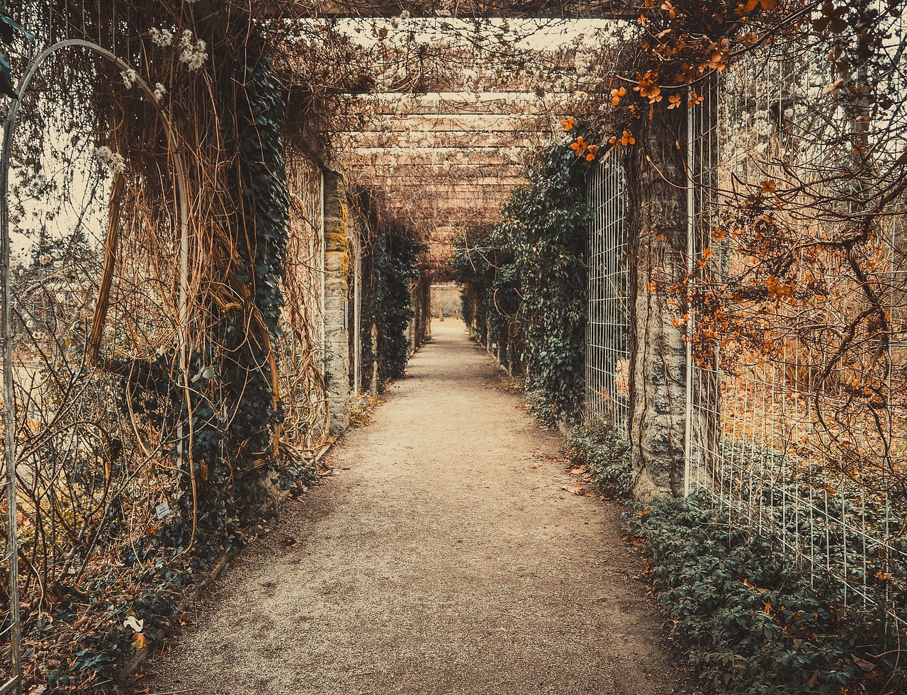 農(nóng)村盜墓電視劇大全，探索與歷史魅力的神秘交織