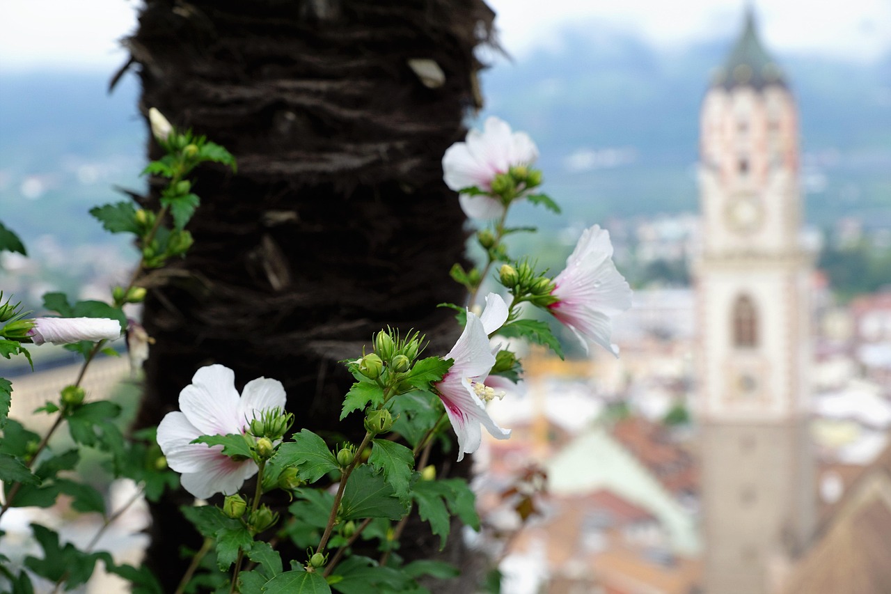 親民黨展現新氣象，積極回應民眾期待，最新動態(tài)及行動展望