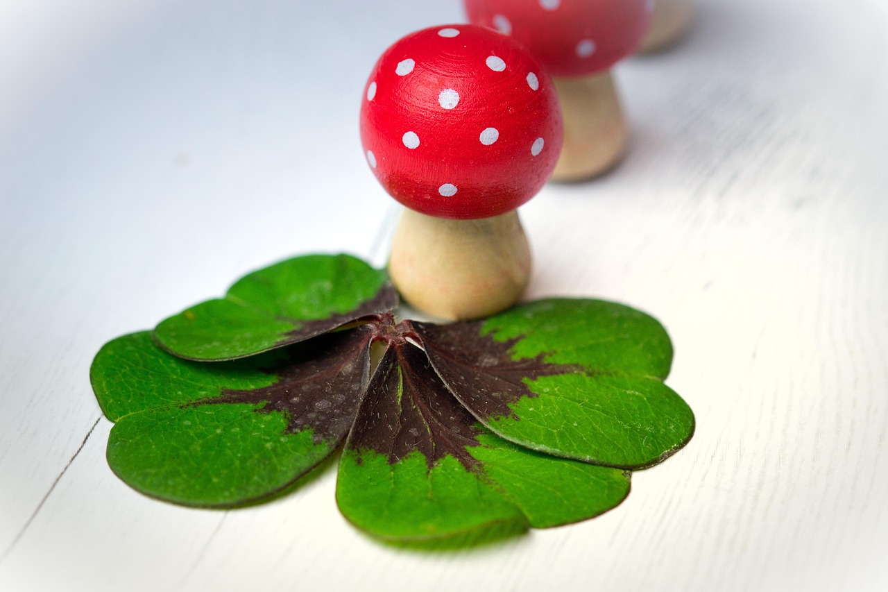 東南DX9最新動態(tài)，潮流引領(lǐng)，展現(xiàn)未來科技魅力