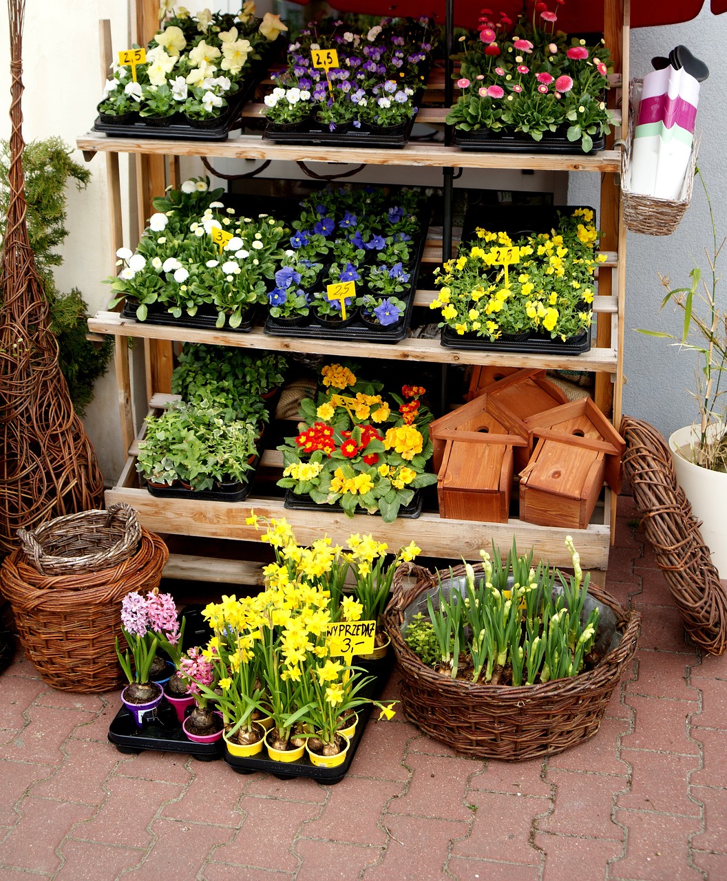 花圈價(jià)格，市場(chǎng)因素與消費(fèi)者考量分析