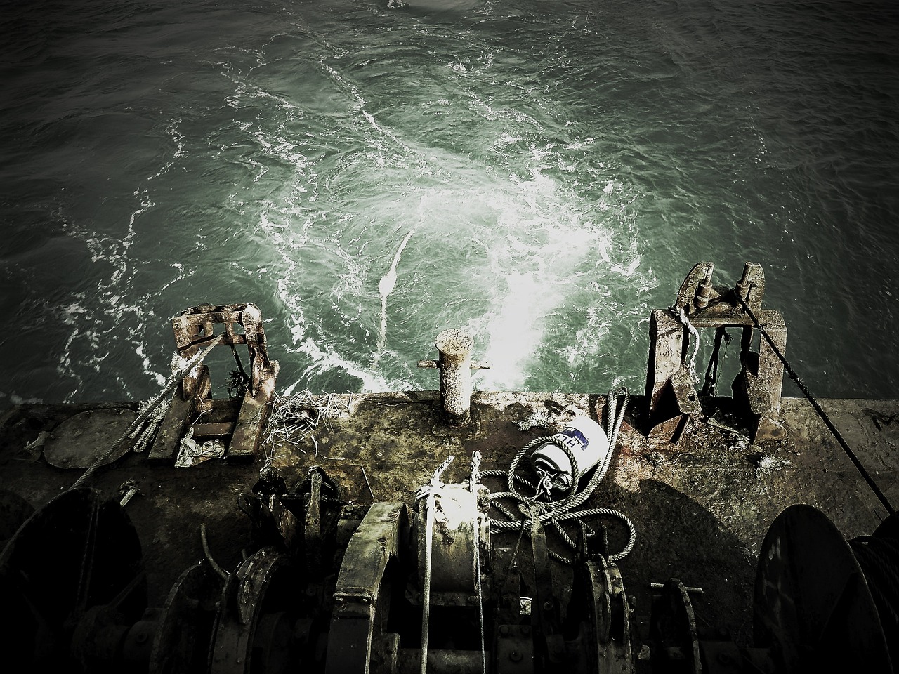 金槍魚垂釣大賽，挑戰(zhàn)海洋極限的熱血較量