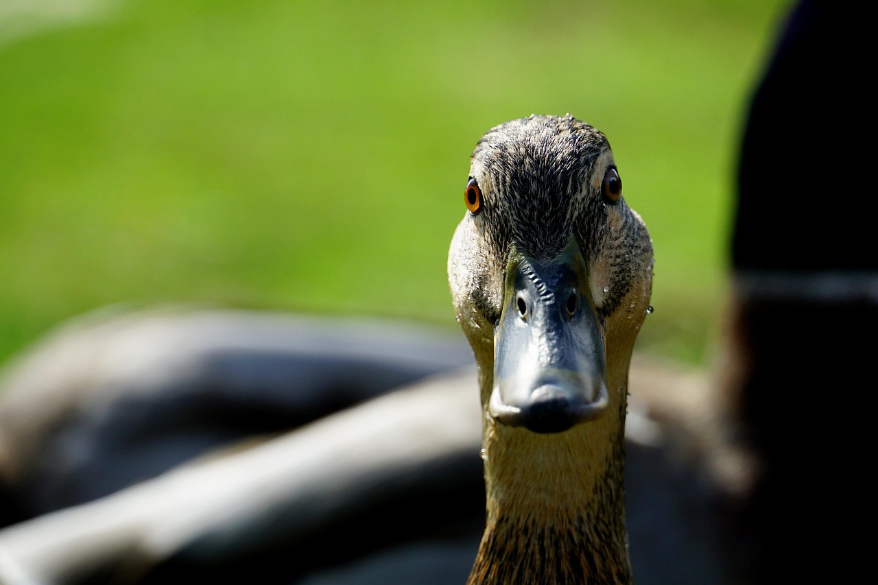 等我的另一半 第18頁