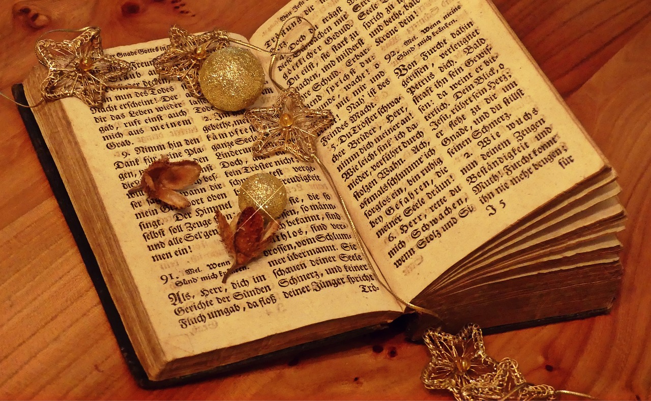 踏花游湖 第17頁