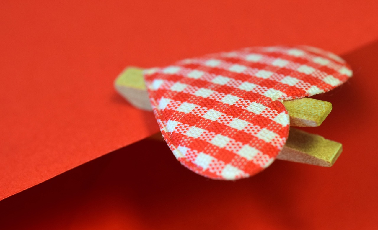 天香心苑最新動態(tài)揭秘，探索未來，新篇章綻放光彩