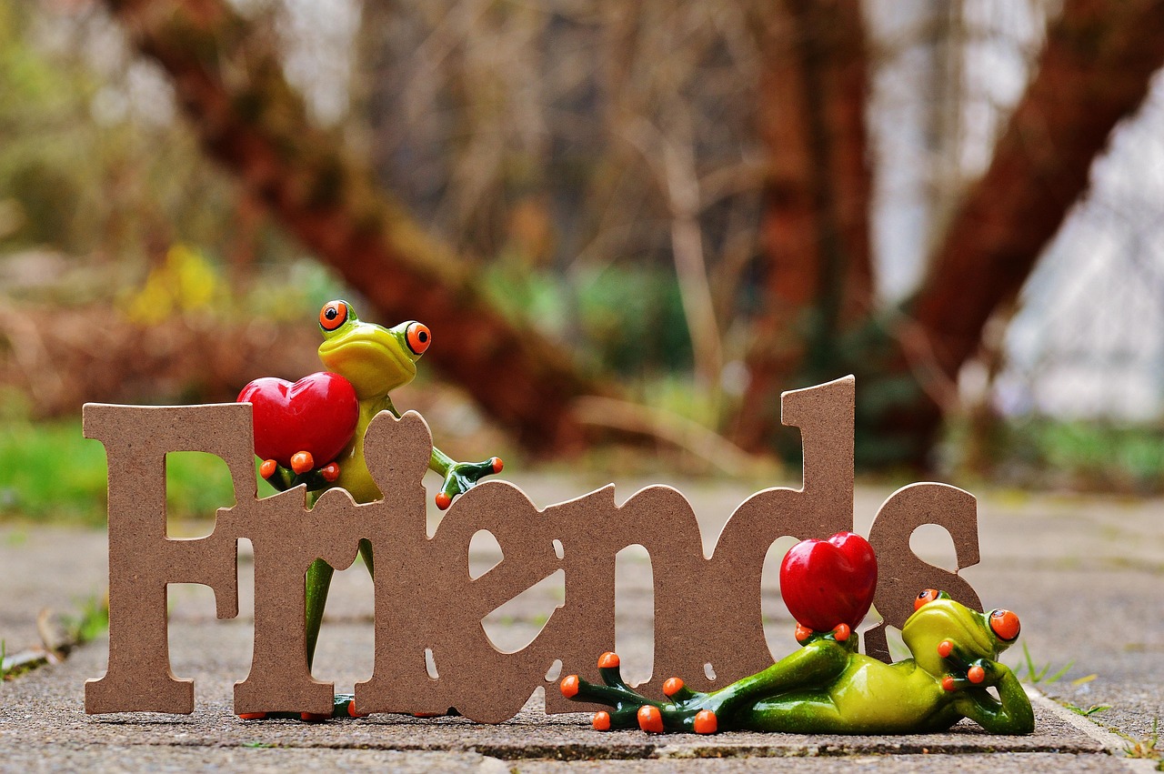 暖婚最新章節(jié)，愛的綻放與甜蜜延續(xù)，溫馨暖婚之旅