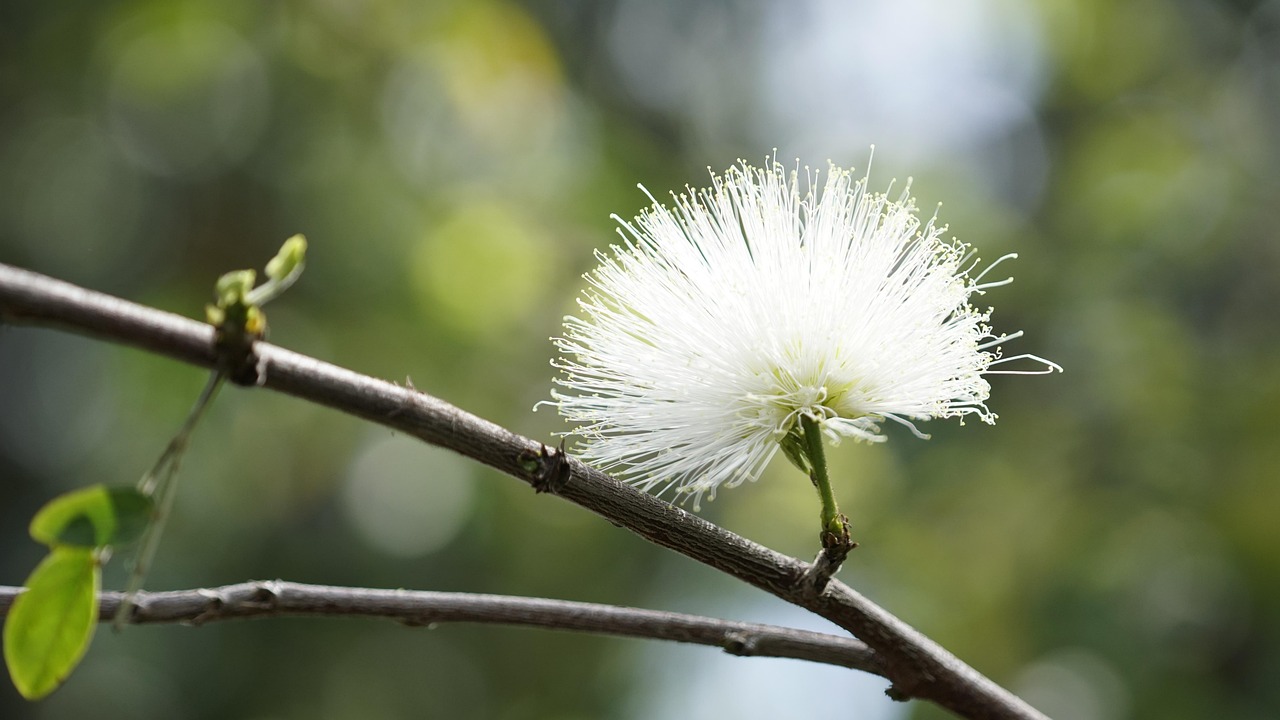 鈴木心春最新動態(tài)，引領(lǐng)潮流，探索未來之路