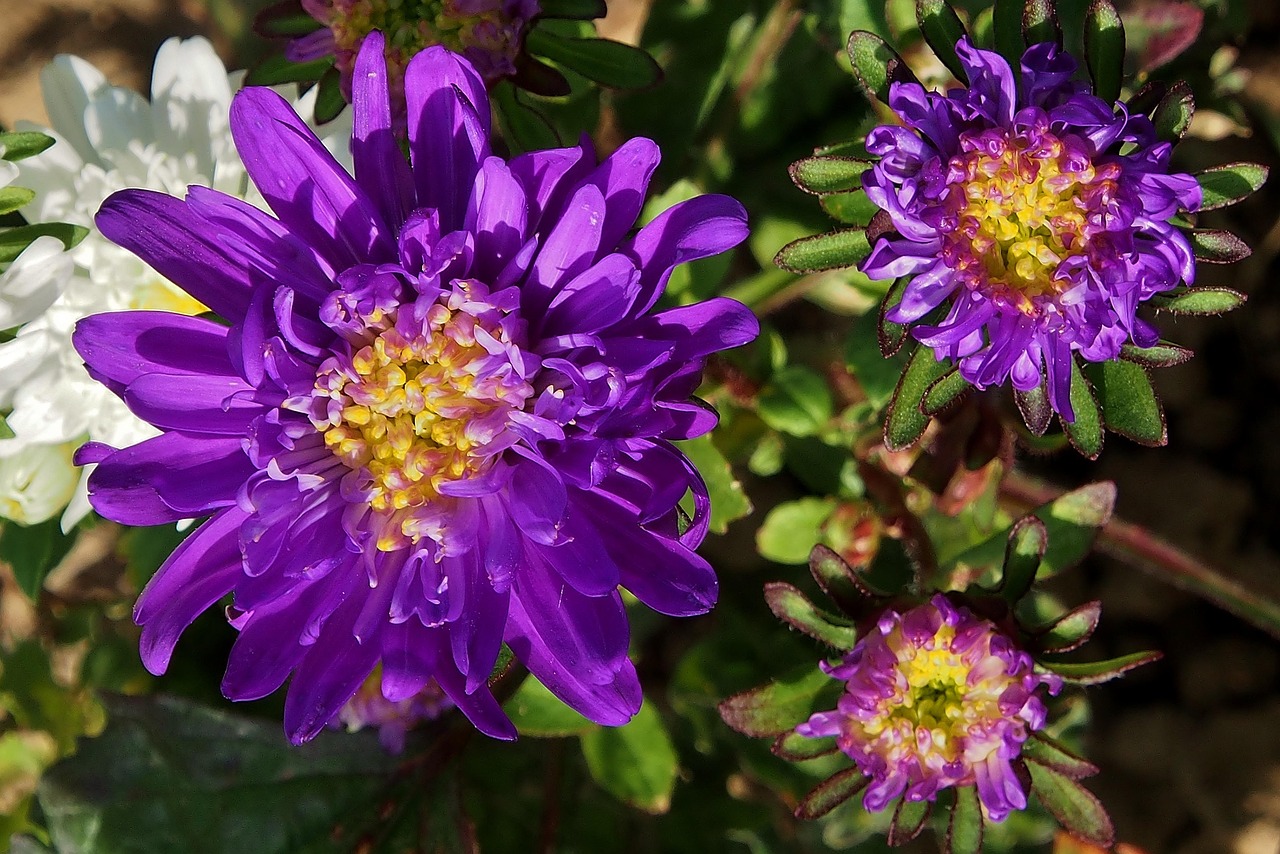 勵志動漫頭像，激發(fā)無限正能量的源泉