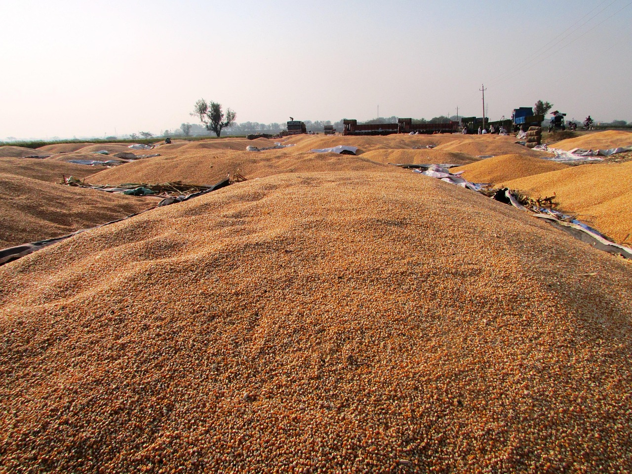 水泥價(jià)格指數(shù)與中國(guó)水泥網(wǎng),行業(yè)動(dòng)態(tài)的精準(zhǔn)晴雨表