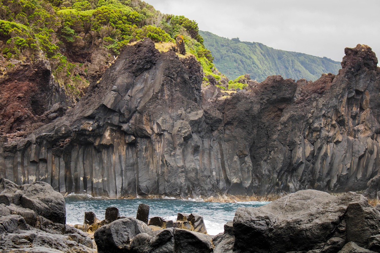 最新鄱陽資訊概覽，掌握鄱陽動態(tài)，一覽無遺