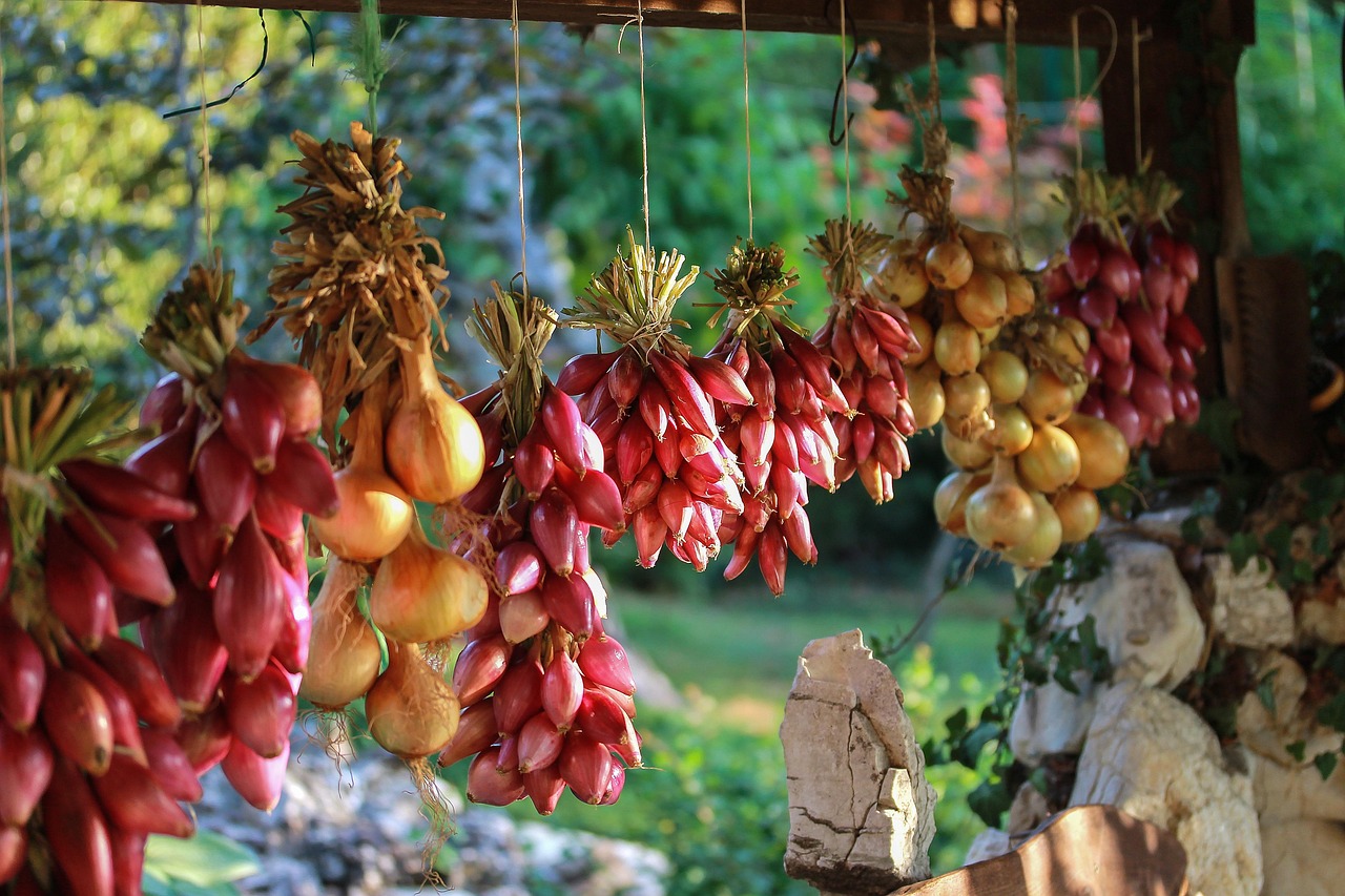 橋本有菜，最新動(dòng)態(tài)揭秘，探索魅力無(wú)限的未知領(lǐng)域