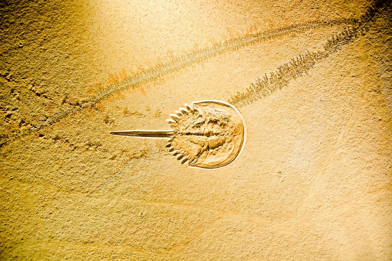 雨暮色涼 第16頁