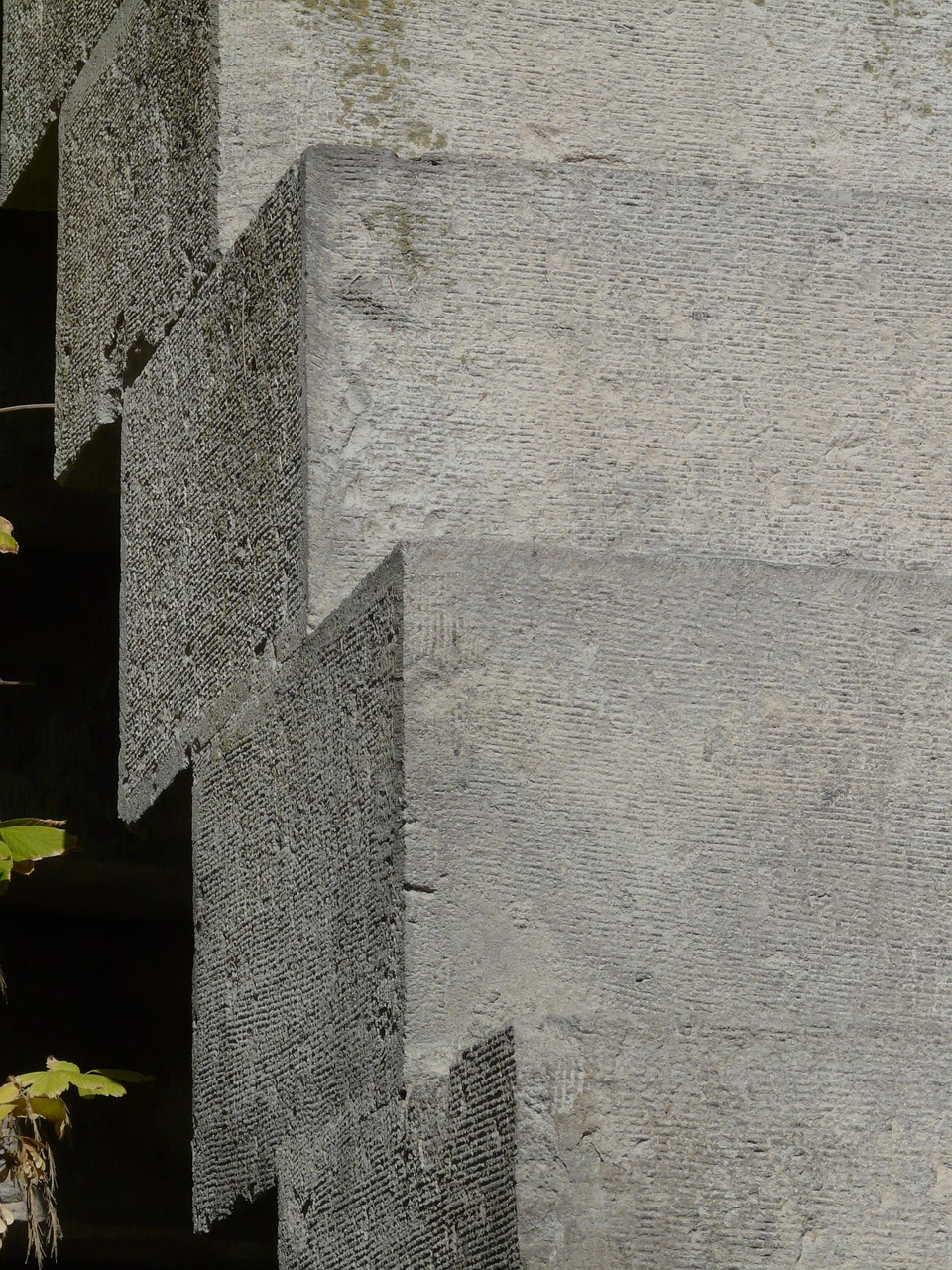 NBA湖人隊最新動態(tài),崛起與挑戰(zhàn)的征程