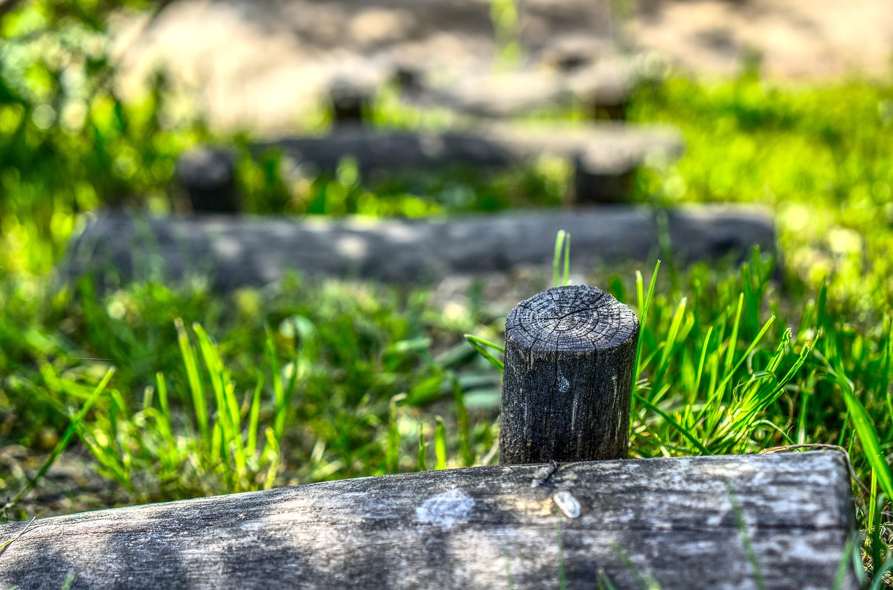NBA湖人隊最新動態(tài),崛起與挑戰(zhàn)的征程
