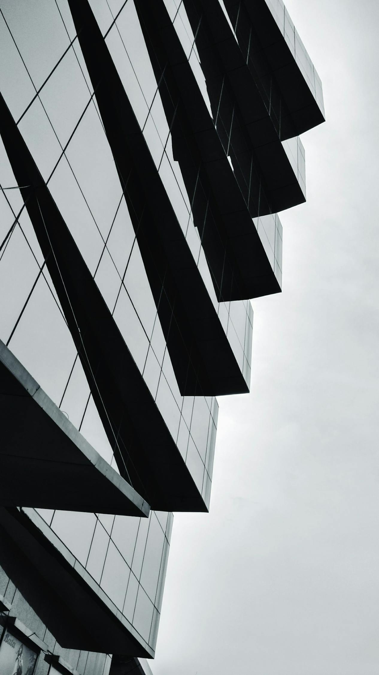 自瘋癲 第15頁(yè)