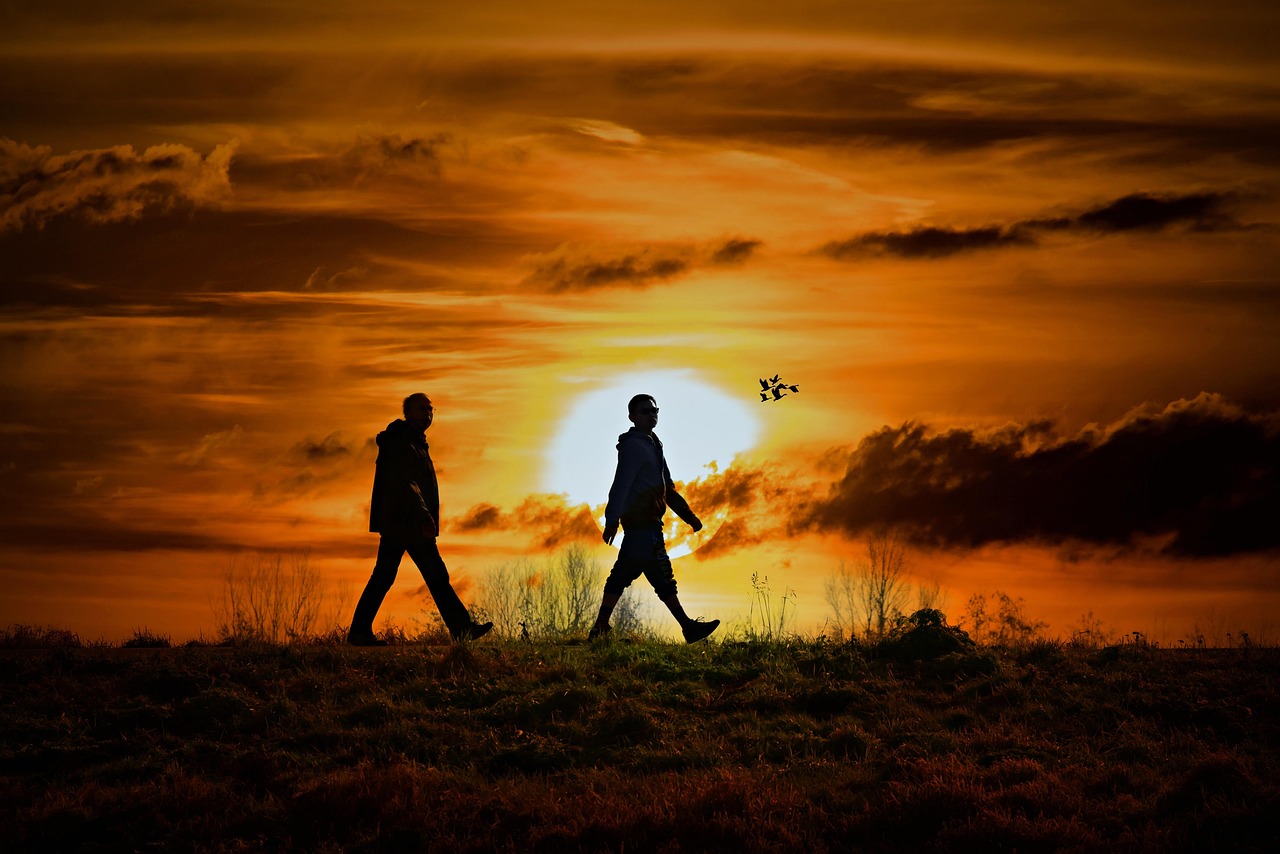 我心雀躍演員表及角色深度解讀