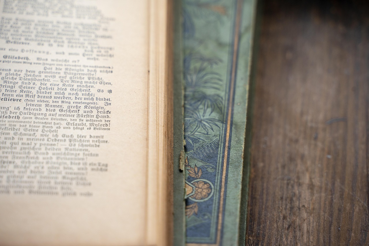 棄妃新篇更新,重塑歷史的深度與廣度