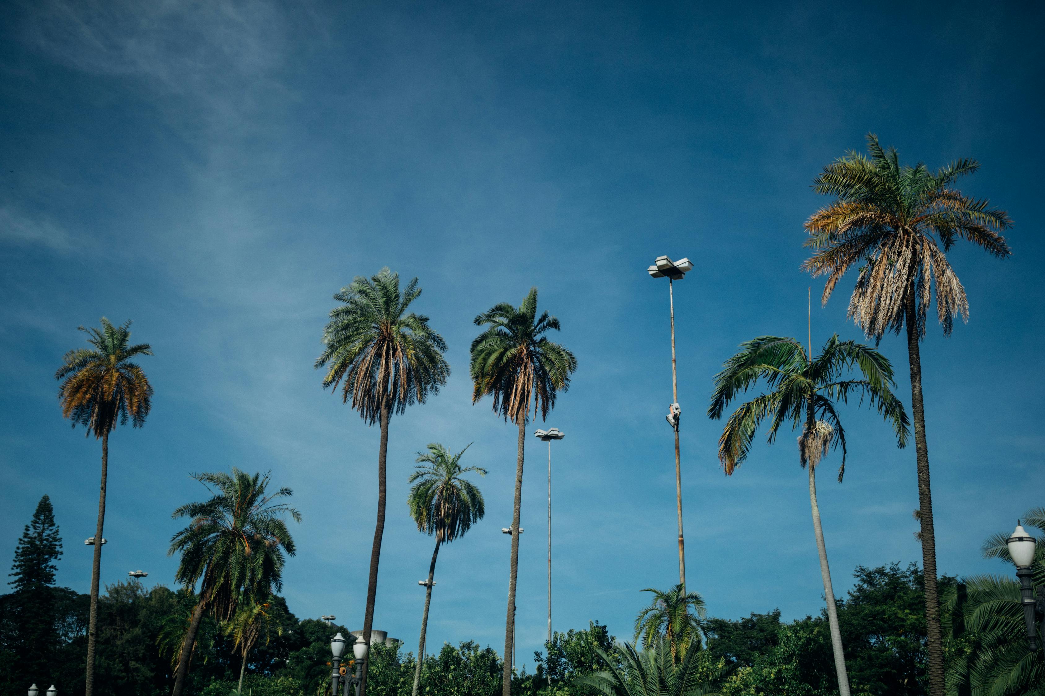 富力陵水海洋公園最新資訊深度解析