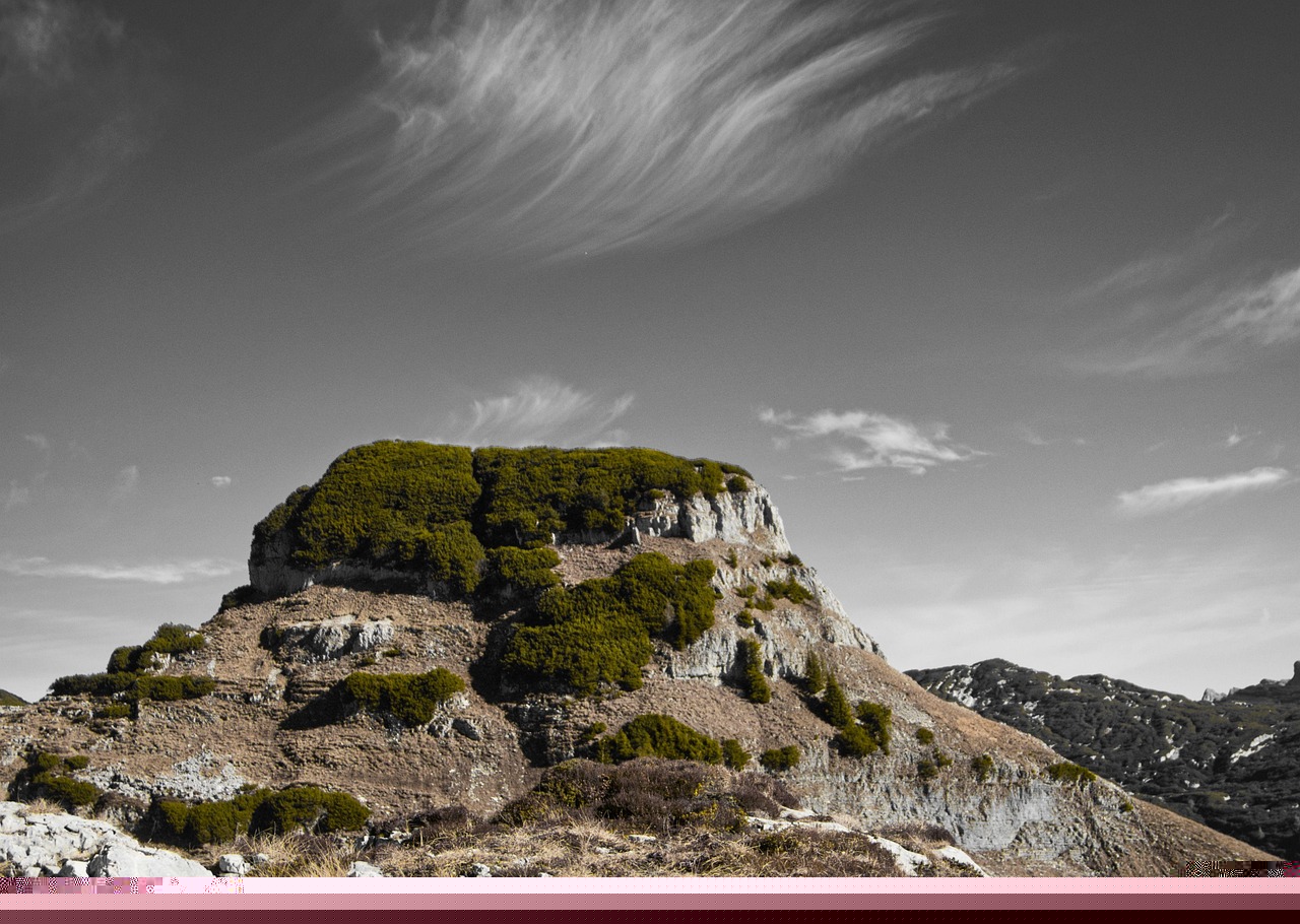 鄒城地震最新動(dòng)態(tài)，全面監(jiān)測(cè)進(jìn)展及應(yīng)對(duì)策略實(shí)施情況