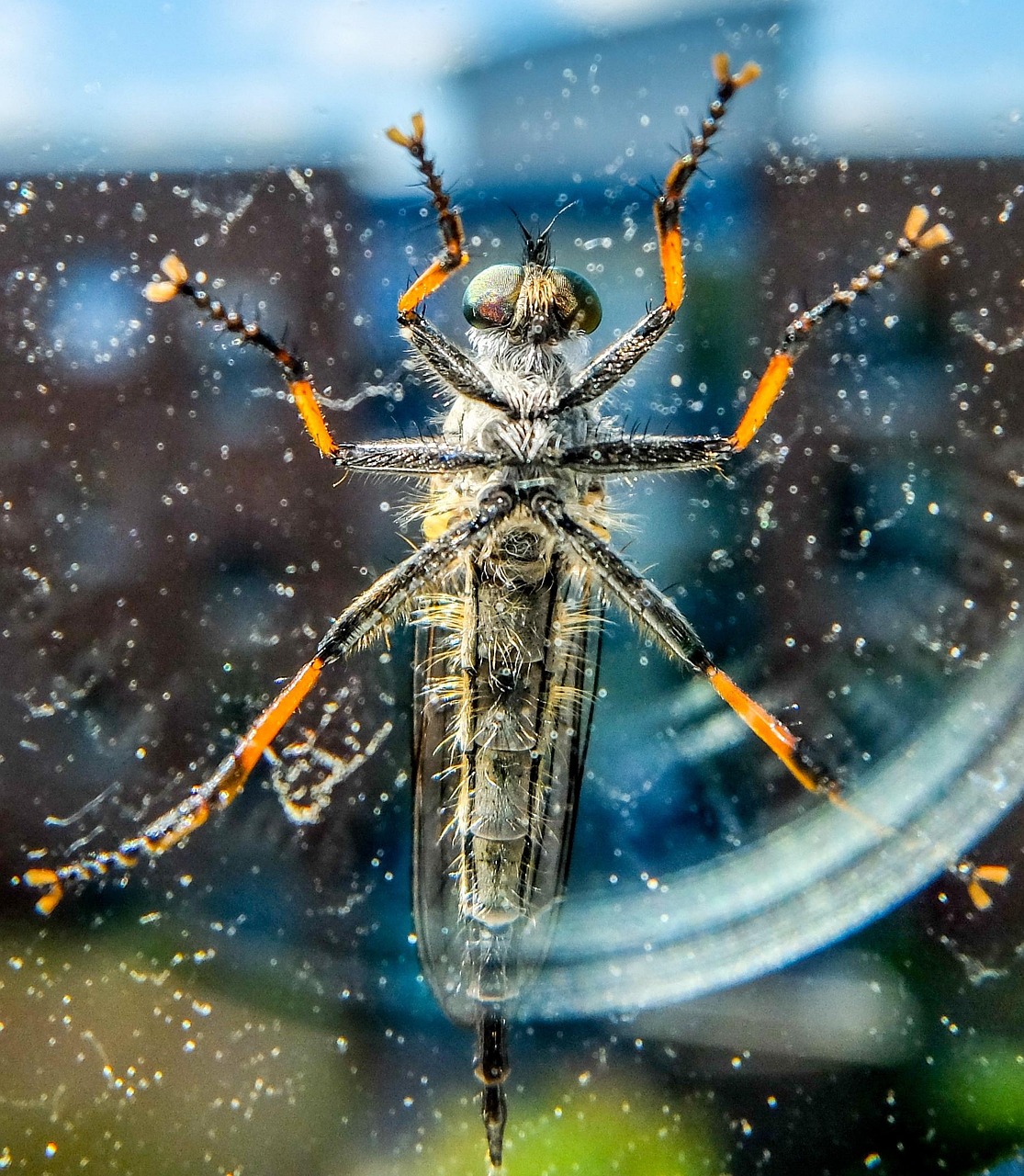 屏住呼吸電影高清，令人窒息的影視佳作