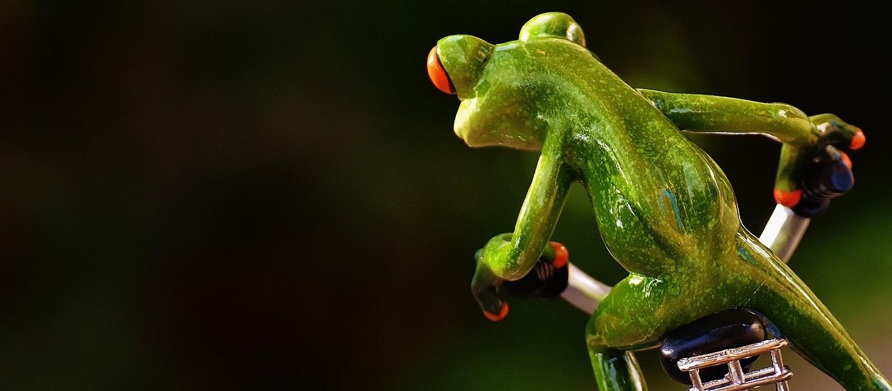 加菲貓新一季，重逢懶散又可愛的肥貓