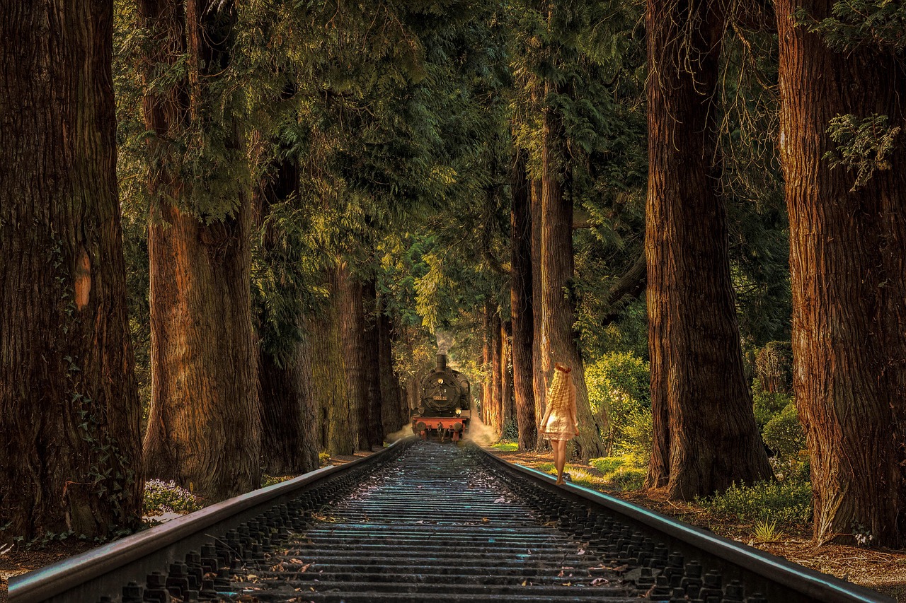 走進(jìn)光芒背后的故事,與明星的近距離聯(lián)系