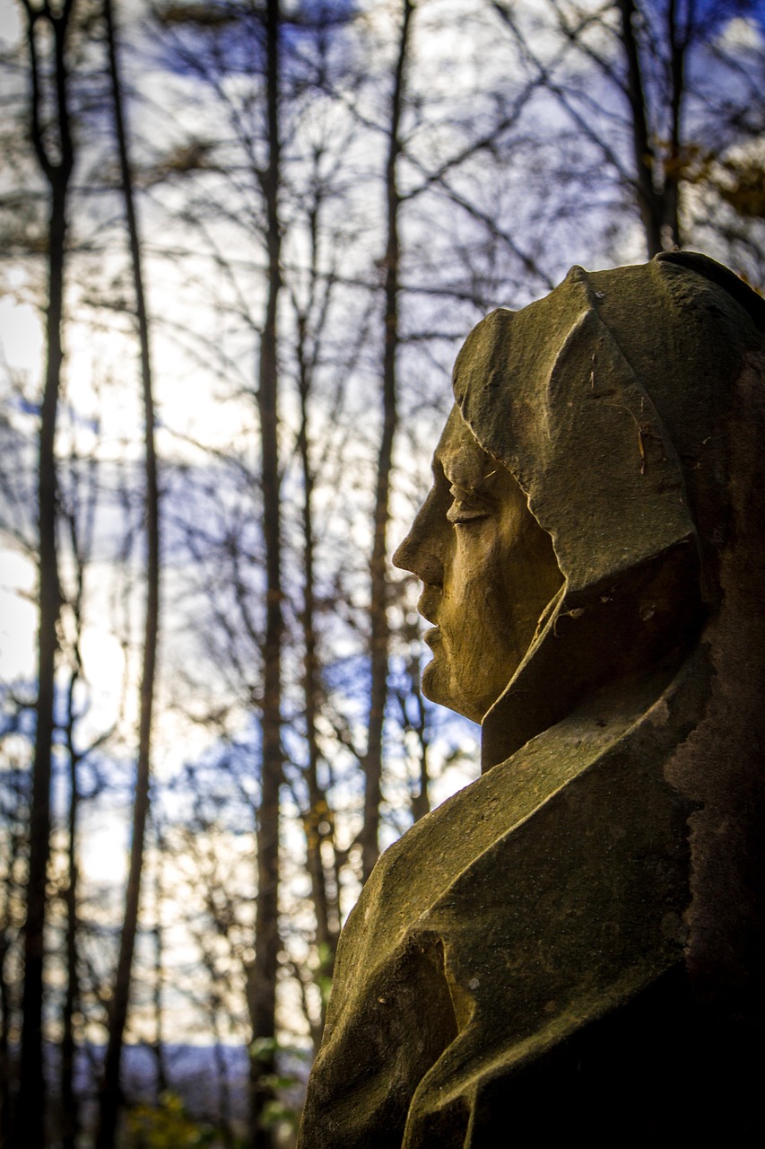 宋曉軍最新動態(tài)，揭開新時代的序幕。