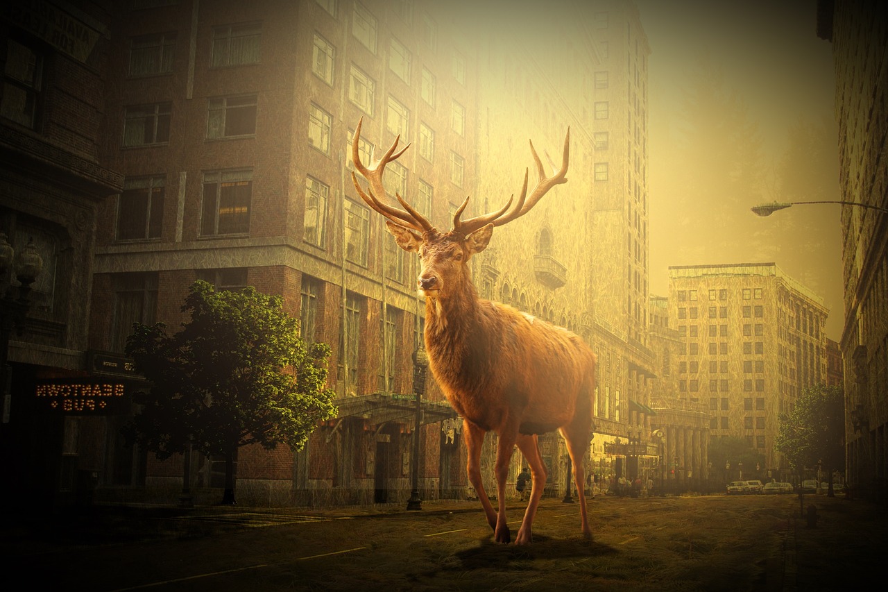 臨沂最新動態(tài)，城市發(fā)展與變遷的脈搏追蹤