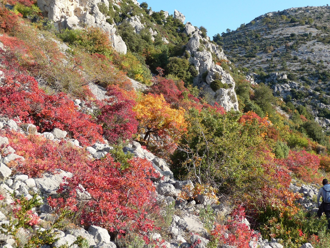 濟(jì)南房價(jià)最新動(dòng)態(tài),市場走勢(shì)分析與預(yù)測及未來趨勢(shì)解讀