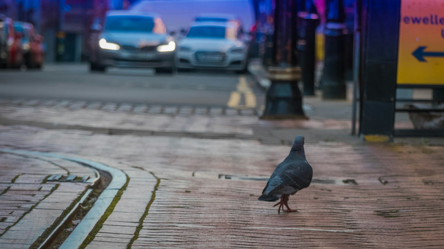 蕪湖元畝塘最新動(dòng)態(tài)揭秘,城市綠色發(fā)展的脈搏