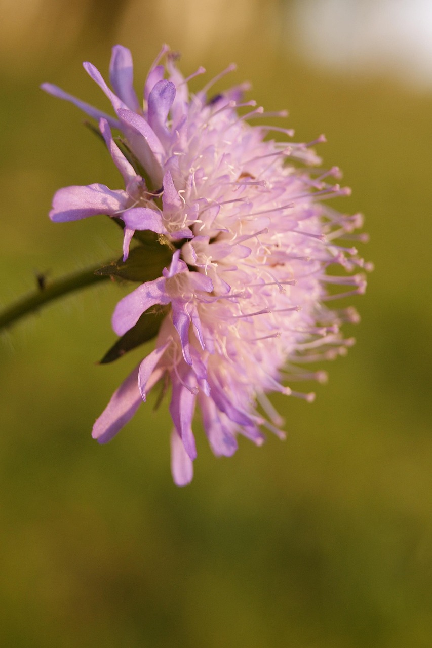 西部礦業(yè)最新消息綜述,探索礦業(yè)發(fā)展前沿動態(tài)