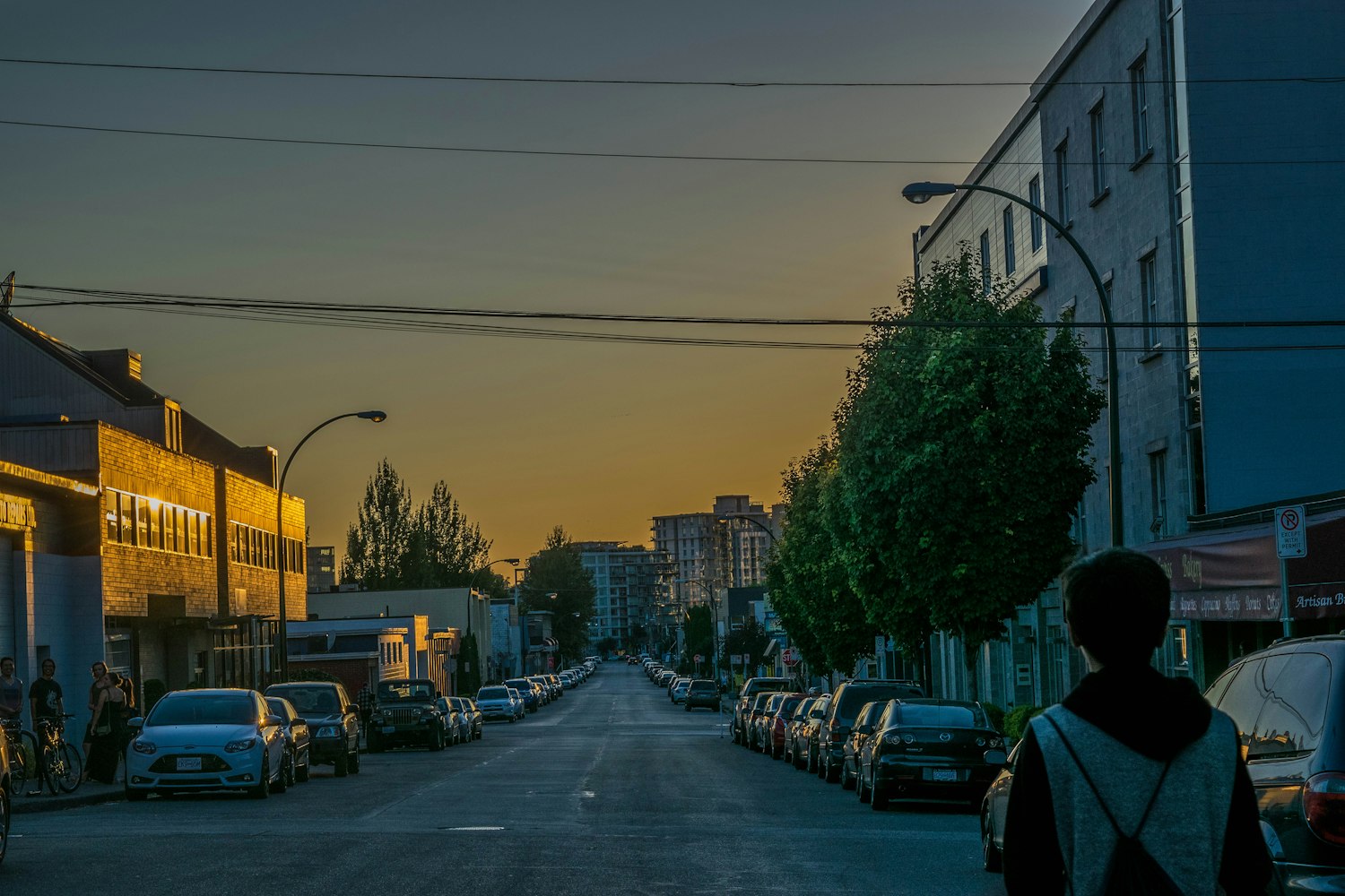 湖南漁業(yè)新機(jī)遇與挑戰(zhàn)，探索最新漁情動(dòng)態(tài)