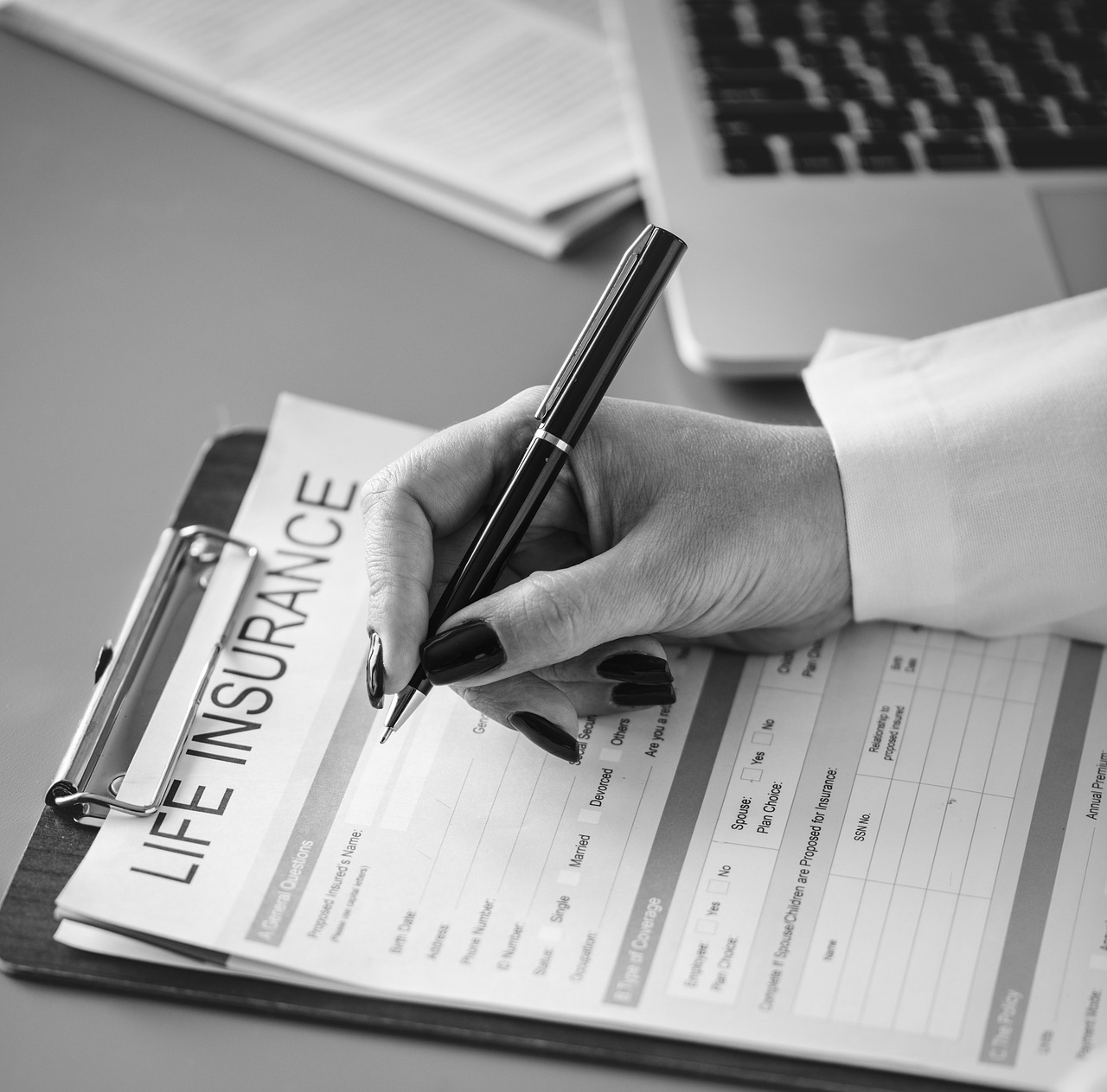 明星影響力與魅力的英語(yǔ)作文